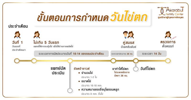 ขั้นตอนการกำหนดวันไข่ตก