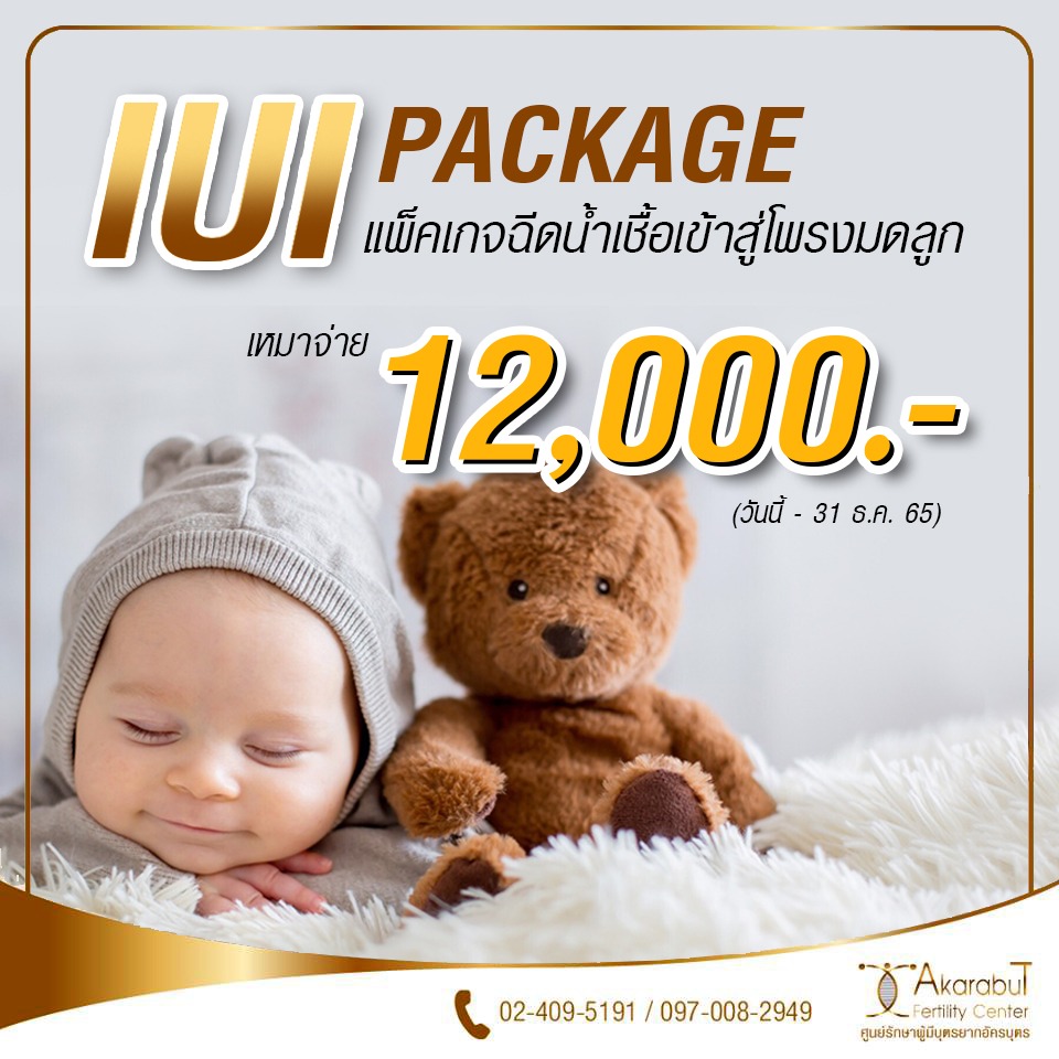 iui12000 iui12000