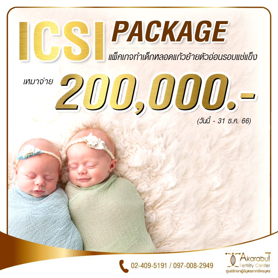 premium icsi 200000 2566 nd