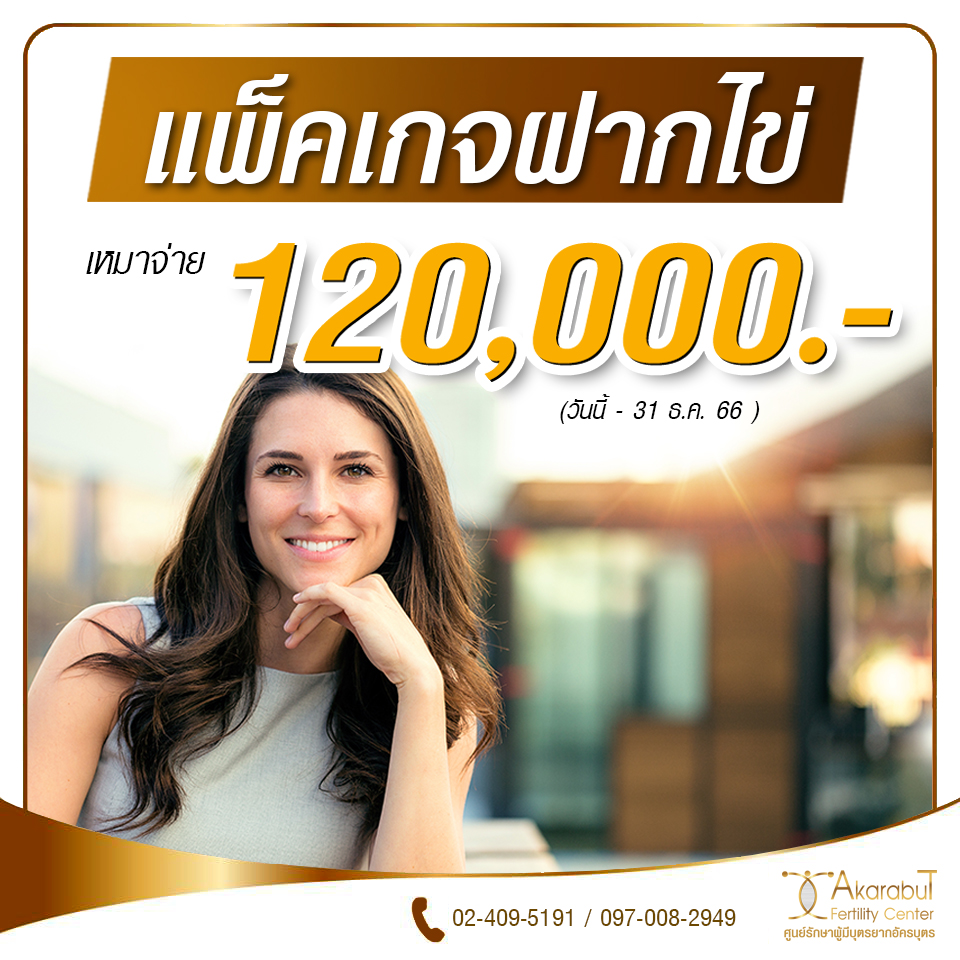 ฝากไข่ 120000 66